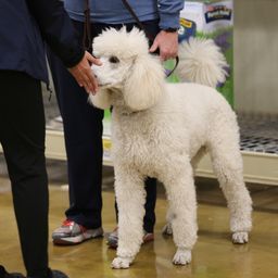 photograph by PeterW